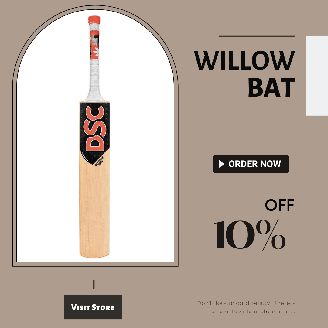 willow bat